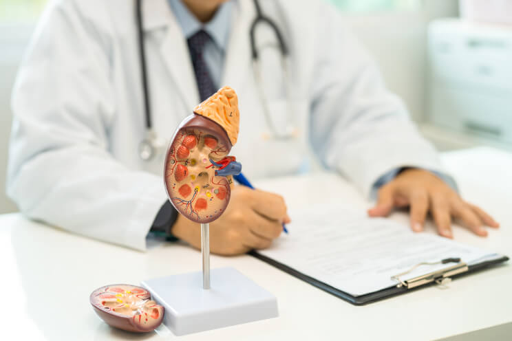 Nephrology  Billing